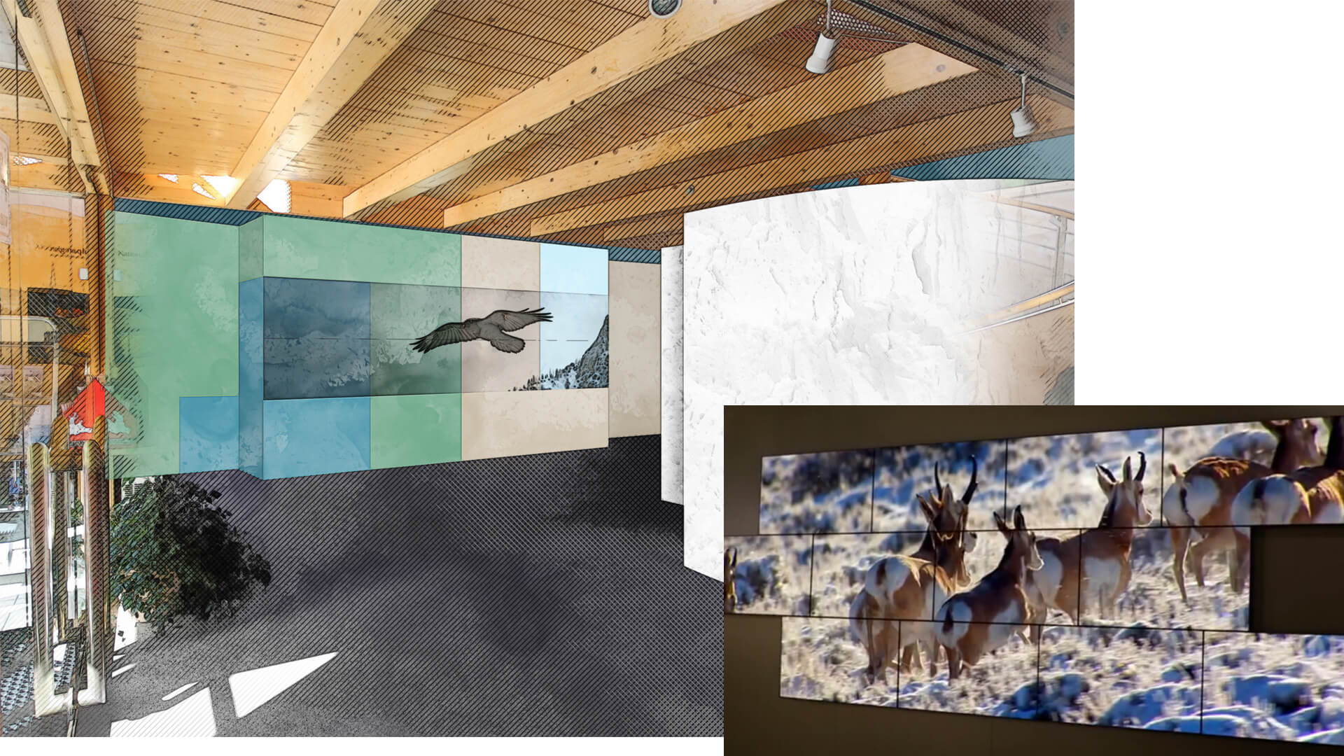 Ausstellung-NP-Hohe-Tauern_Fusch_2